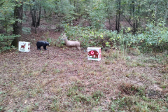 IMG_20231014_105620714_HDR