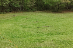 IMG_20240420_095959936