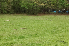 IMG_20240420_101205855