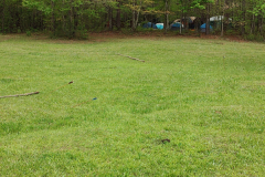 IMG_20240420_101629929